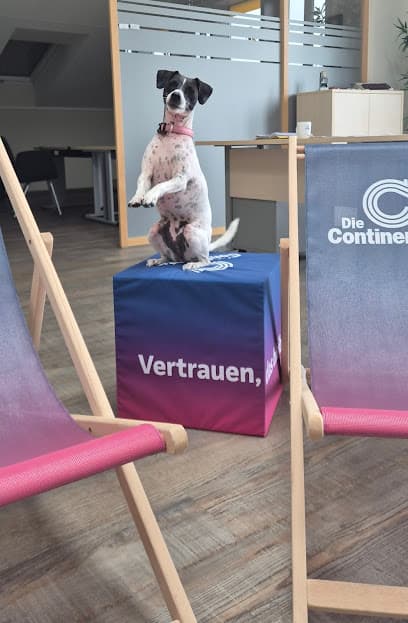 Mannheimer Versicherung AG: Joachim Tron