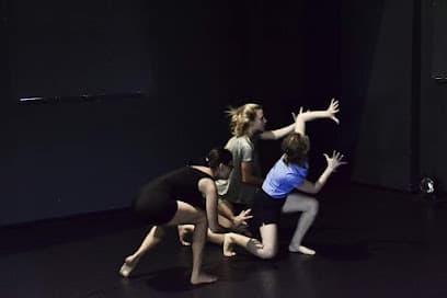 Tanzakademie Krippner TAHK