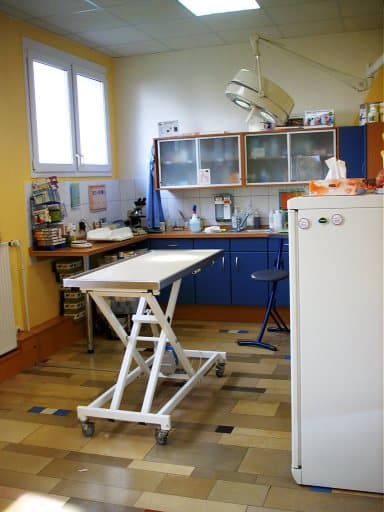 Andreas Hagerodt Tierarzt