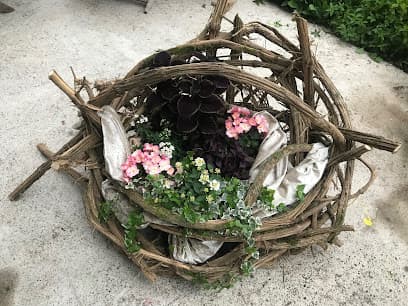 NaturGestalten Johanna Harter