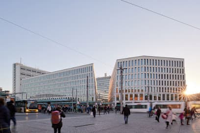 Steuerberater Björn Rosin